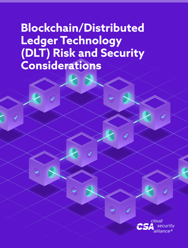 Blockchain/Distributed Ledger Technology (DLT) Risk and Security Considerations