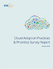 Cloud Adoption Practices & Priorities