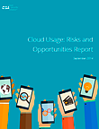 Cloud Usage: Risks and Opportunities