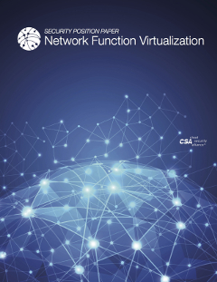 Security Position Paper - Network Function Virtualization