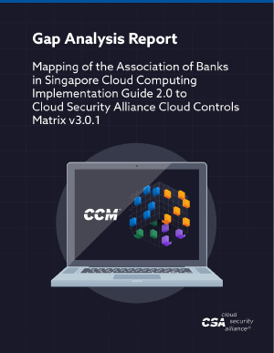 CCM Gap Analysis Report (ABS CCIG)