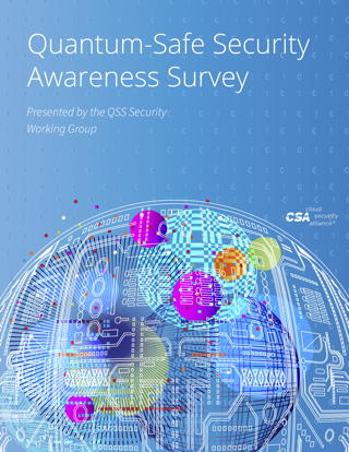 Quantum-Safe Security Awareness Survey