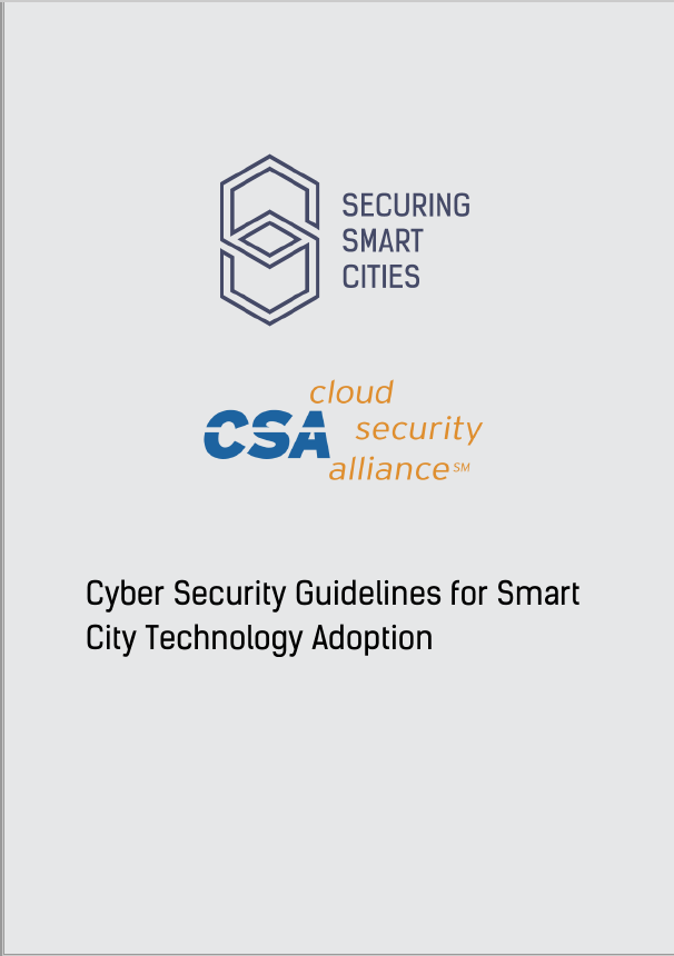 Guidelines for Safe Smart Cities