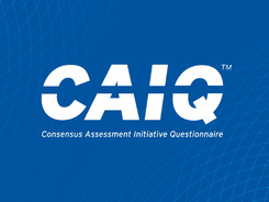 CAIQ-Lite: The Lighter-weight Security Assessment Option
