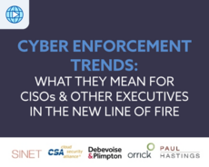Cyber Enforcement Trends